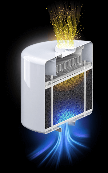 Vue en coupe d’un filtre NRBC à charbon actif